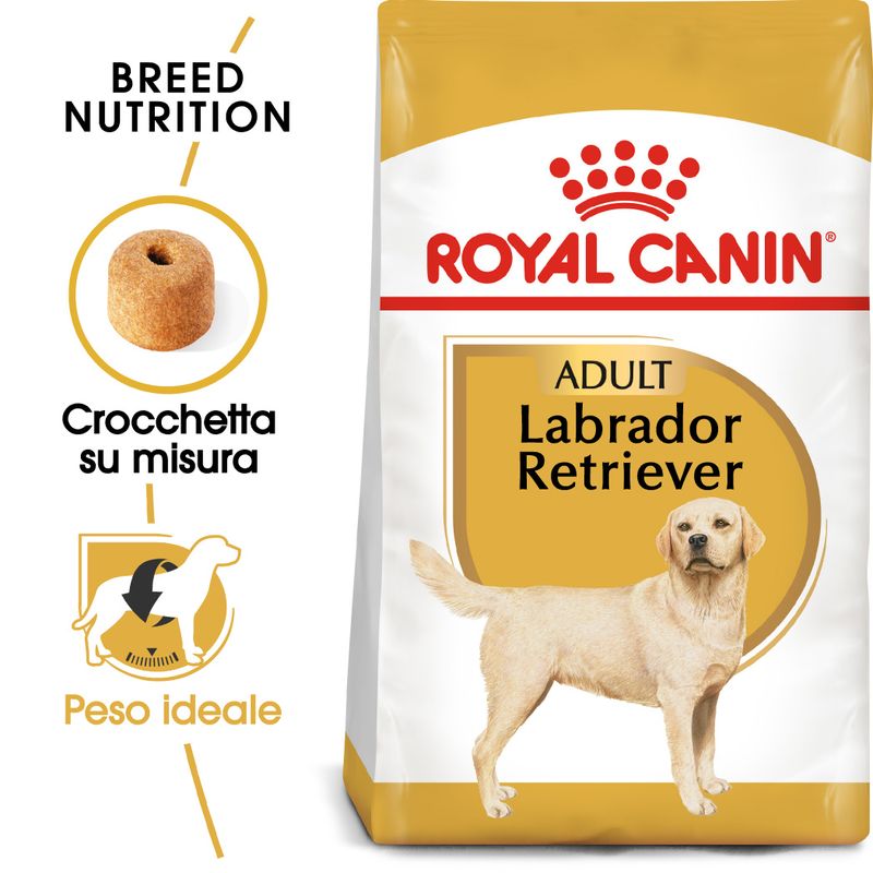 2x12kg Royal Canin Labrador Retriever Adult - Crocchette per Cani 2x12kg Royal Canin Labrador Retriever Adult - Crocchette per Cani